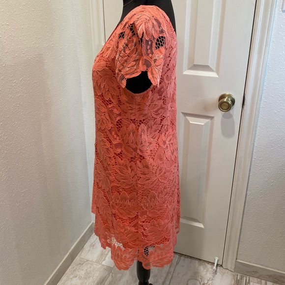 BB DAKOTA women’s Rene scallop lace shirt dress - Picture 8 of 15